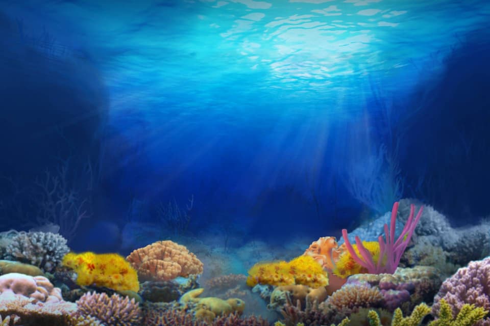 pearl-lagoon