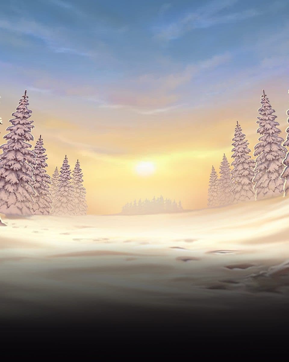 wild-north