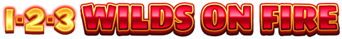 1-2-3-wilds-on-fire logo